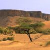 Discover the best cities and destinations to visit in Mauritania, from bustling Nouakchott to ancient Chinguetti and the wild Banc d’Arguin National Park. Get practical travel tips, budget breakdowns, interactive maps, and insider advice to plan your off-the-beaten-path Sahara adventure.