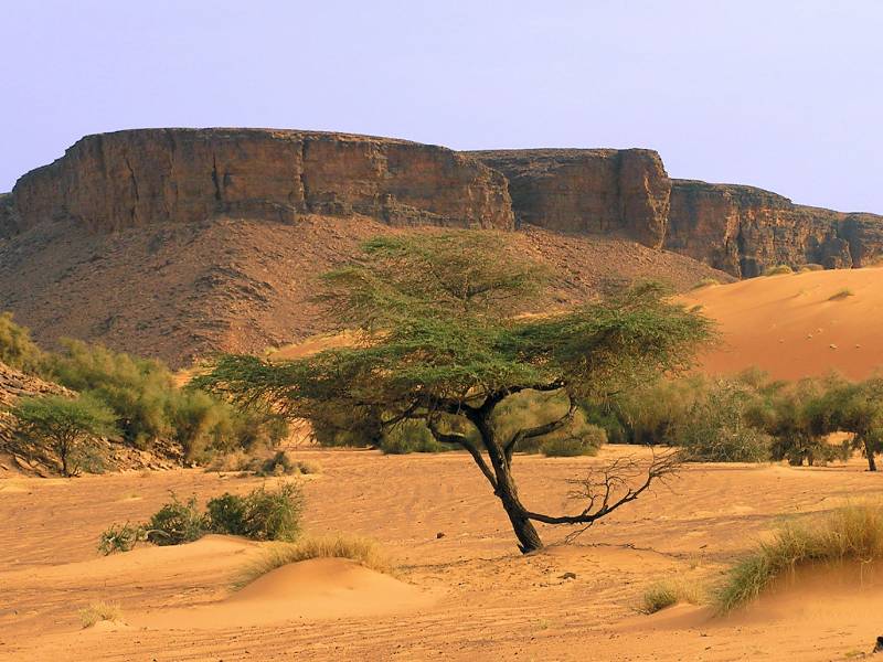 Discover the best cities and destinations to visit in Mauritania, from bustling Nouakchott to ancient Chinguetti and the wild Banc d’Arguin National Park. Get practical travel tips, budget breakdowns, interactive maps, and insider advice to plan your off-the-beaten-path Sahara adventure.