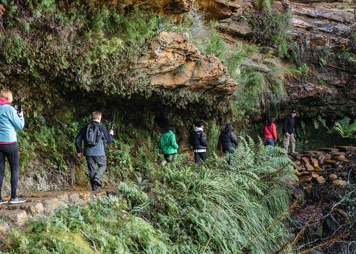 Escape to the mountains for hikes, waterfalls, and wildlife spotting, with a guide sharing local lore. Includes lunch (~$100 USD).