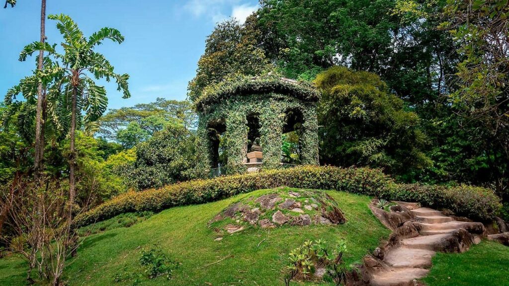 Huge, peaceful oasis with monkeys, orchids, and massive palms. Stroll the avenues lined with imperial palms—feels like a fairy tale. Pair it with Parque Lage nearby for that colonial mansion cafe shot.