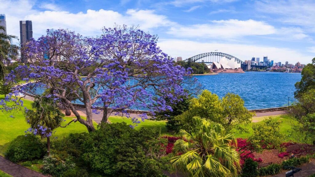 Right next to the Opera House, this green oasis has exotic plants, harbor views, and even flying foxes at dusk. It's free and perfect for a picnic – the Mrs. Macquarie's Chair lookout is a hidden gem for photos.