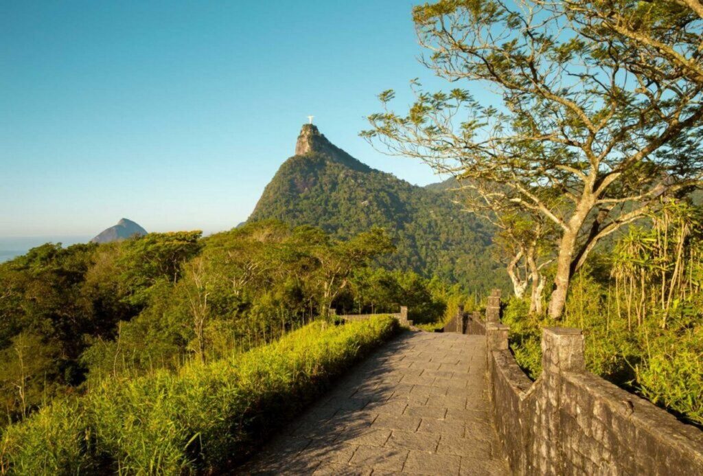 World's largest urban forest—hikes, waterfalls, and wildlife right in the city. Do the easy trails to Cachoeira dos Macacos for a swim. I love escaping the heat here; spot toucans and monkeys. Guided tours via GetYourGuide keep it safe and informative.