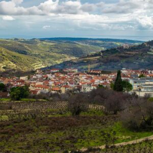 Discover traditional Cypriot flavors in the Troodos Mountains. Enjoy wine tastings