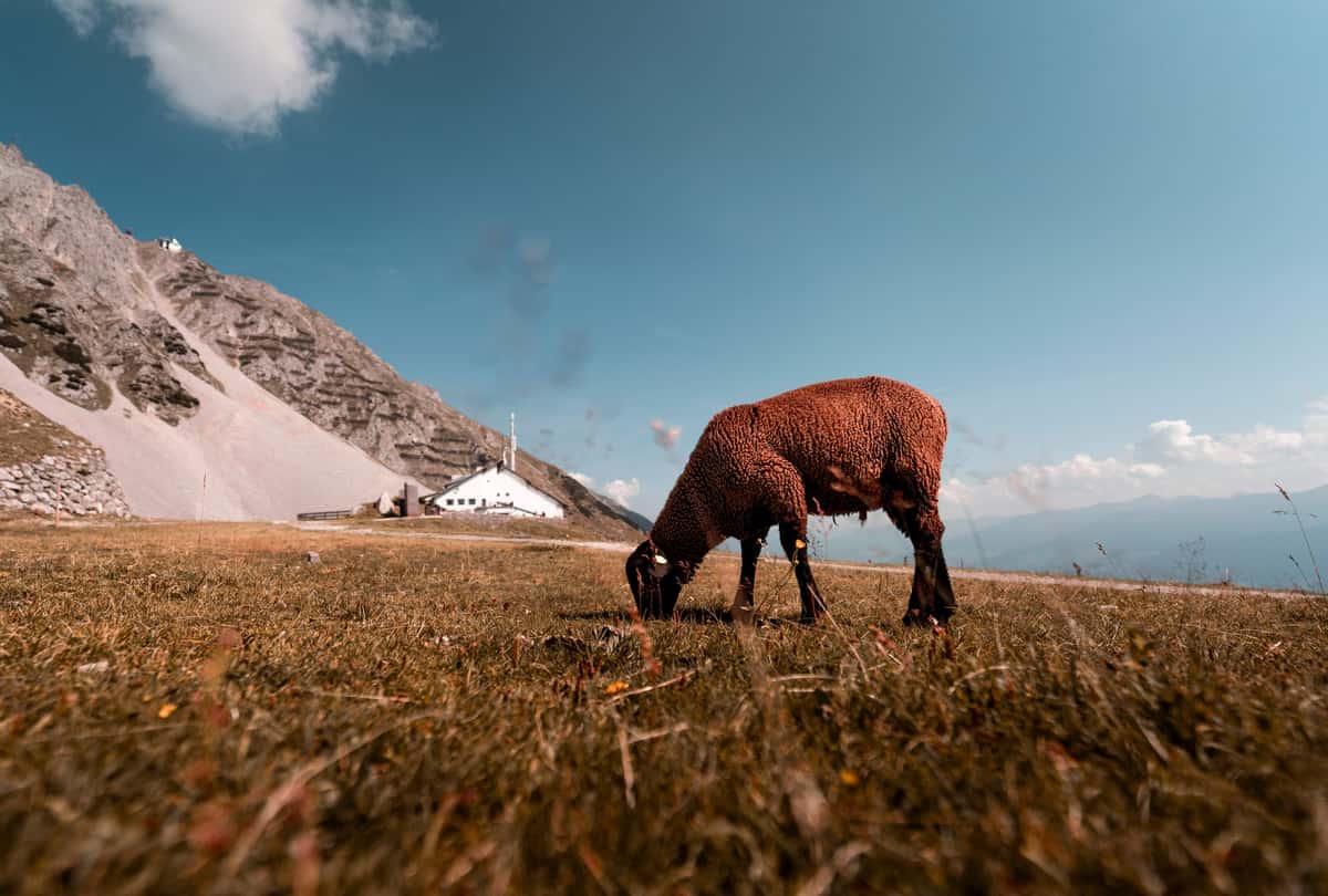 Innsbruck: Nordkette Roundtrip Cable Car Tickets & Mountain Experience - Image 3