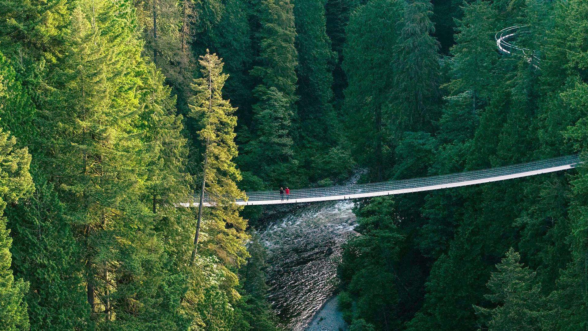 Vancouver Capilano Suspension Bridge Park: Cliffwalk & Treetops Adventure Tickets - Image 4