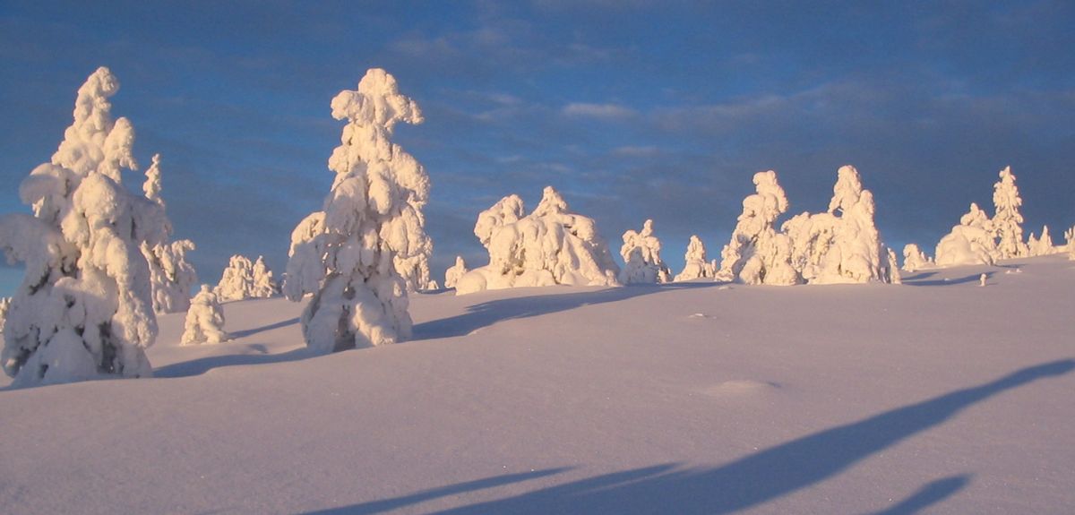 best places to visit in levi