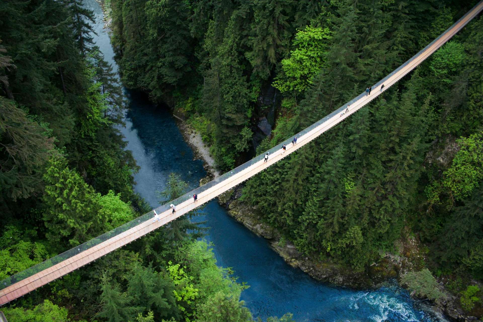 Experience the world-famous Capilano Suspension Bridge